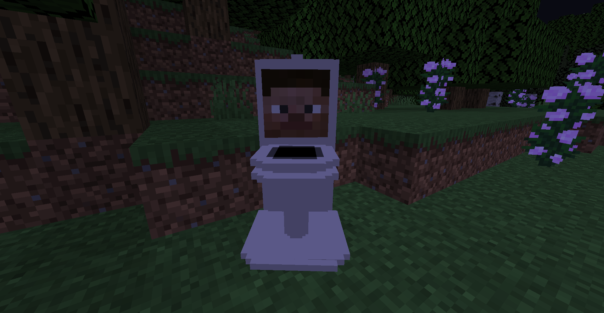 Stevedi Toilet