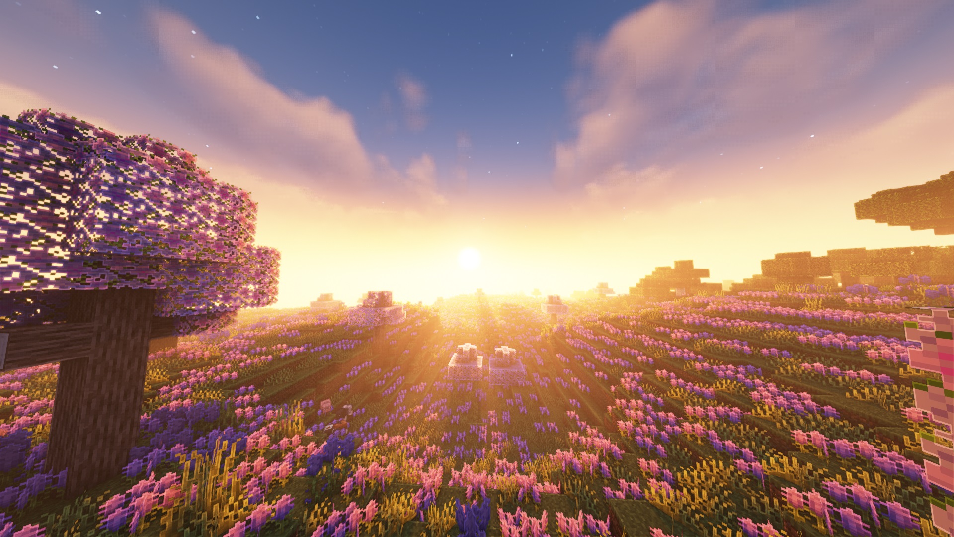 More Than An Adventure — screenshot 2