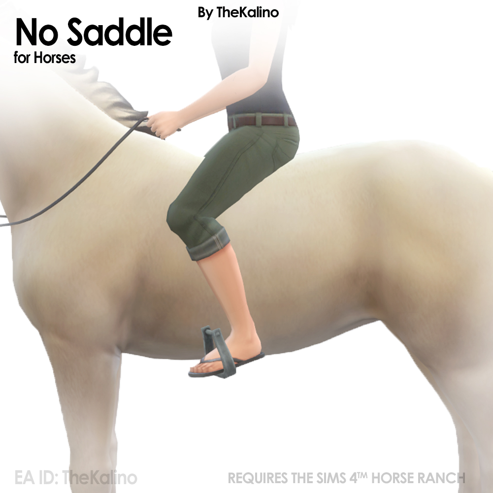No Saddle