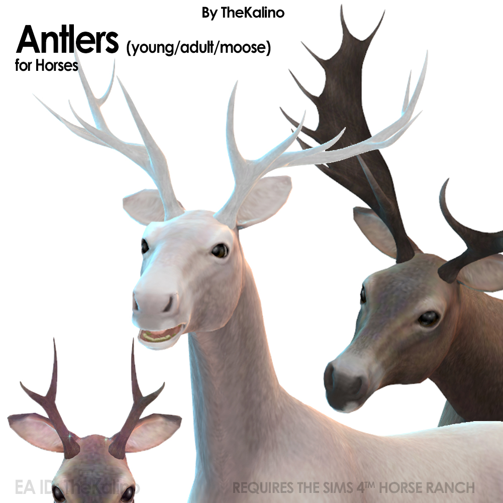 Antlers: 3 types