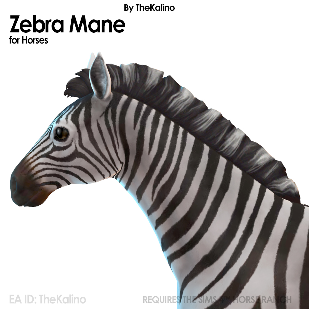 Zebra Mane