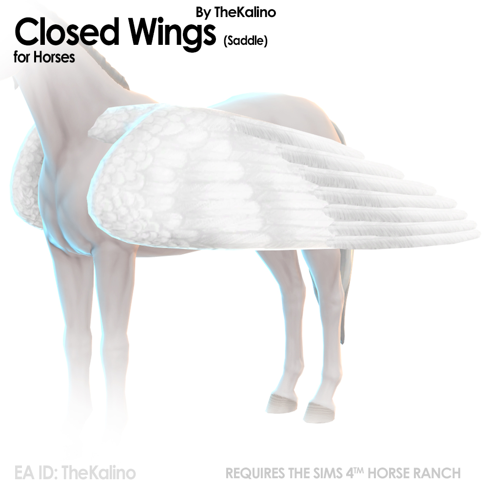 Closed Wings
