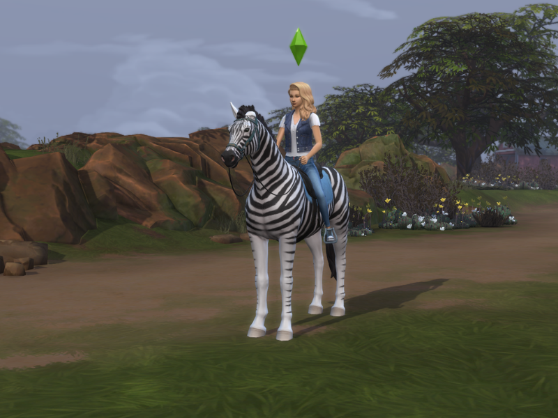 Zebra Showcase