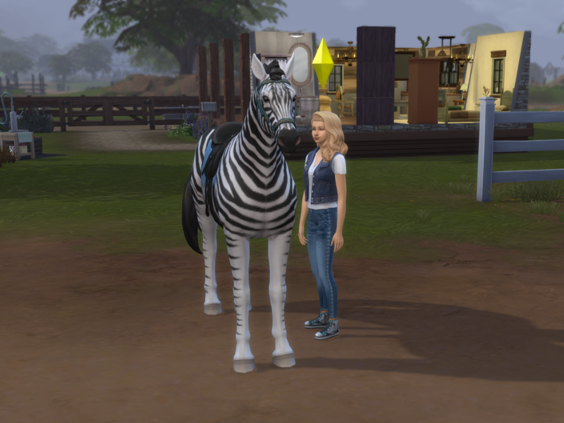 Zebra Showcase 2