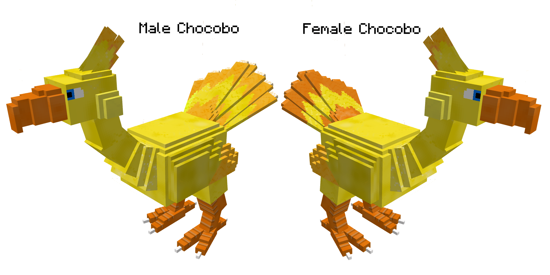 Male vs Female Chocobo