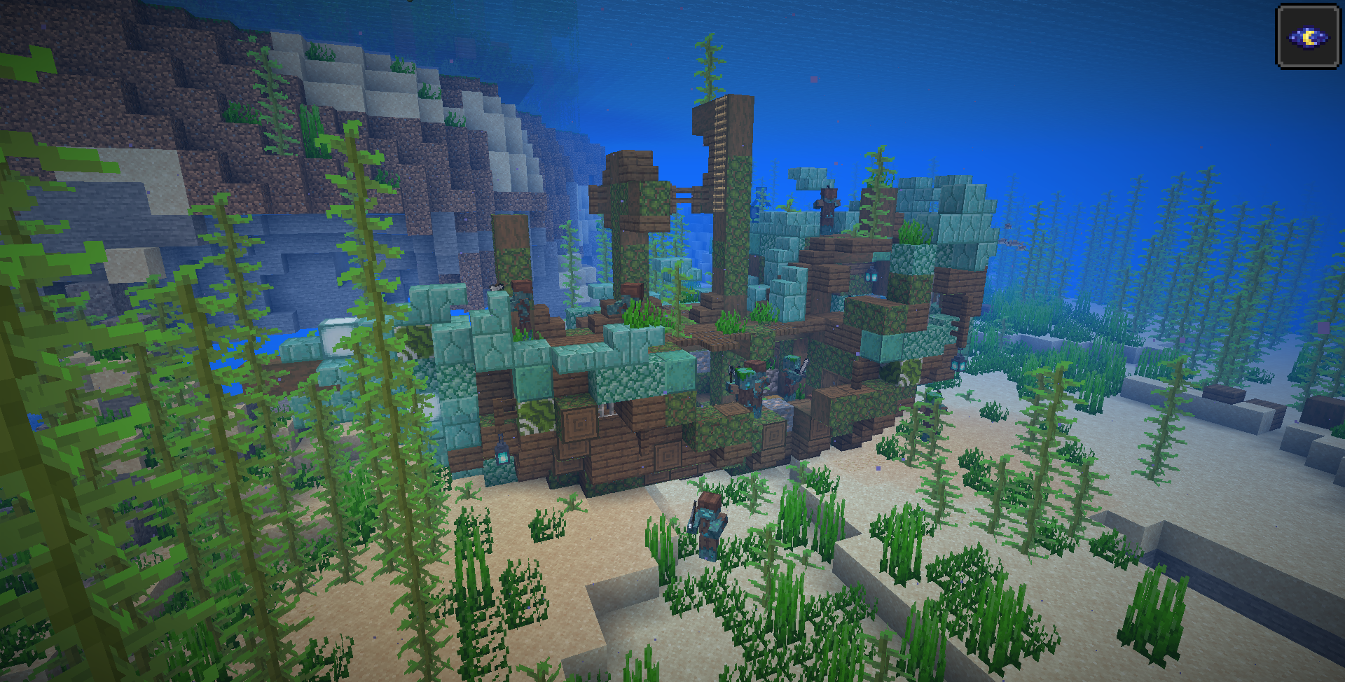 Thumbnail A medium sized spruce shipwreck.