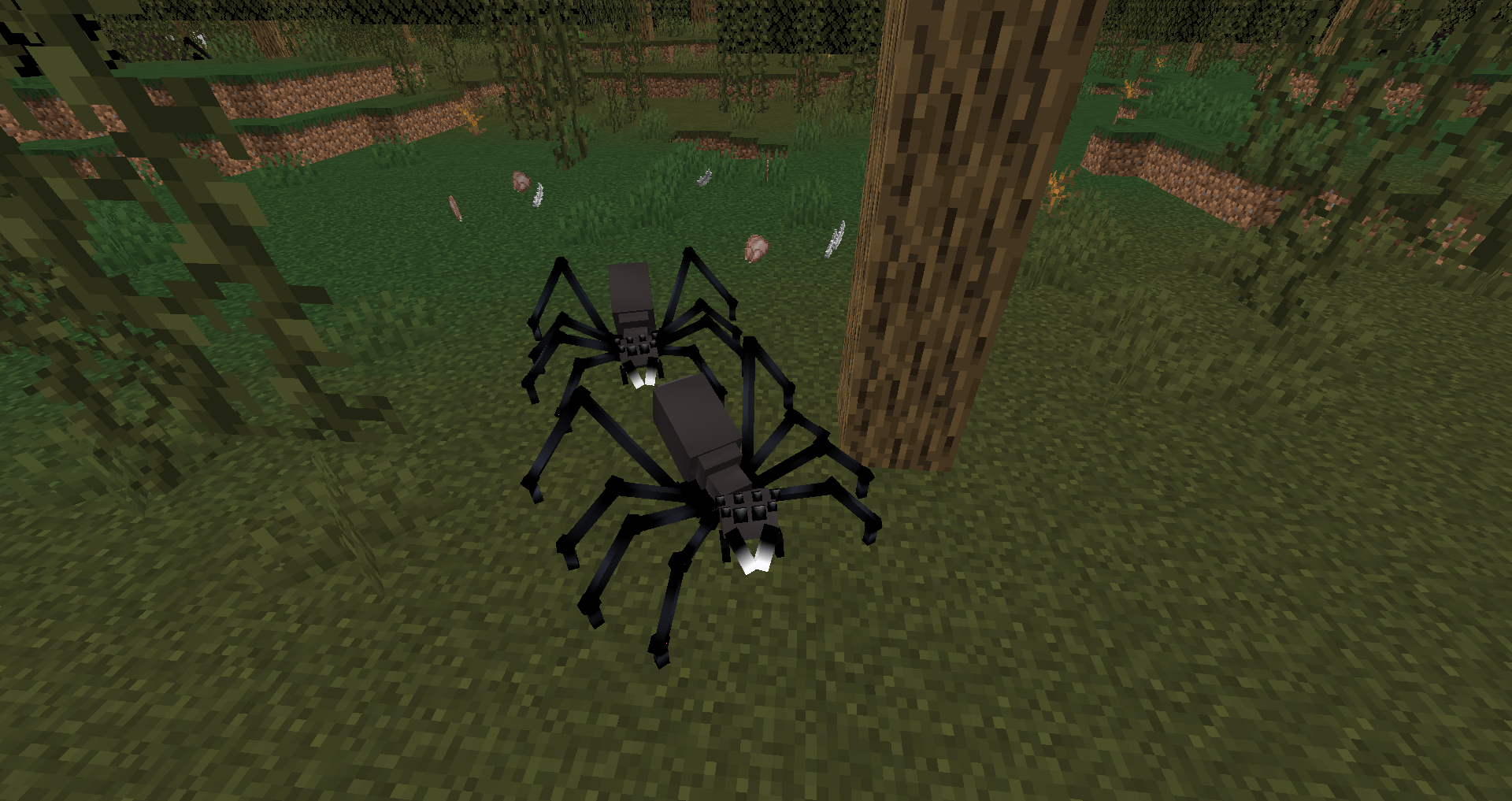 Scary Spiders