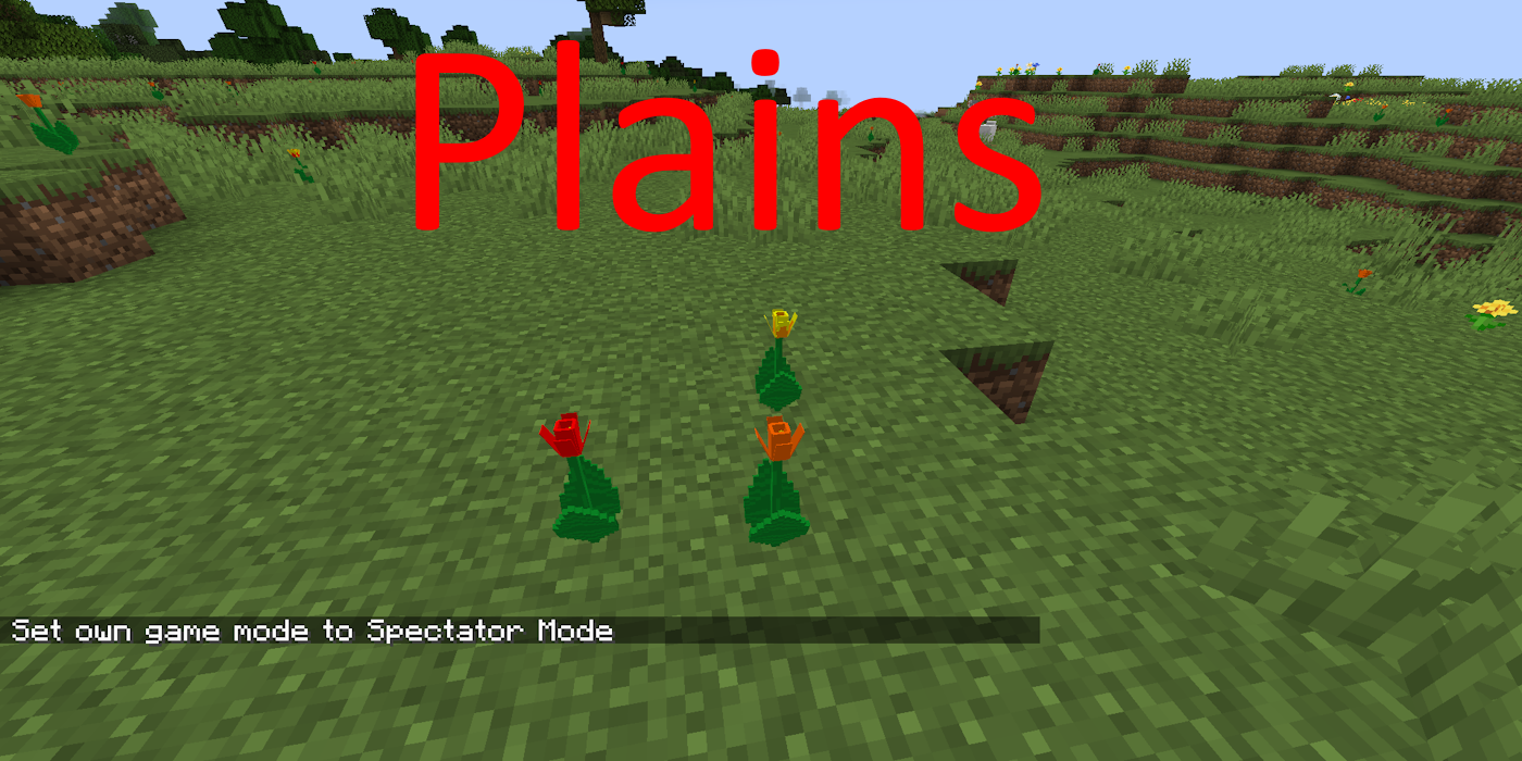 Plains