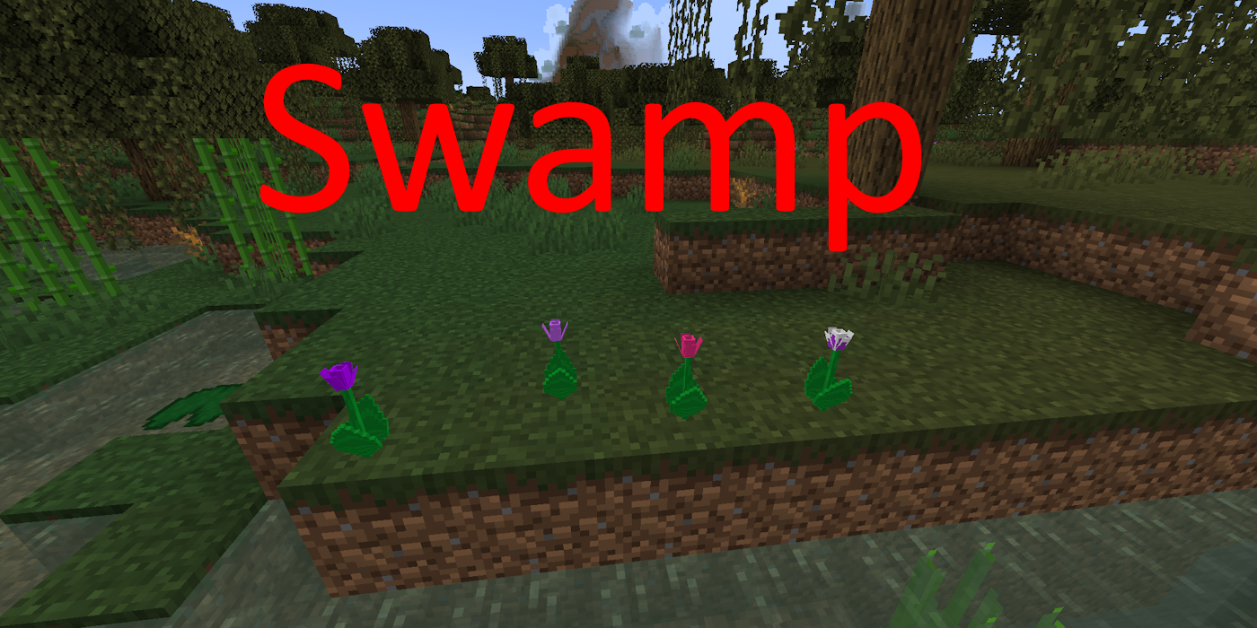 Swamp