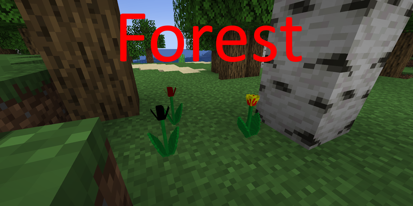 Forest