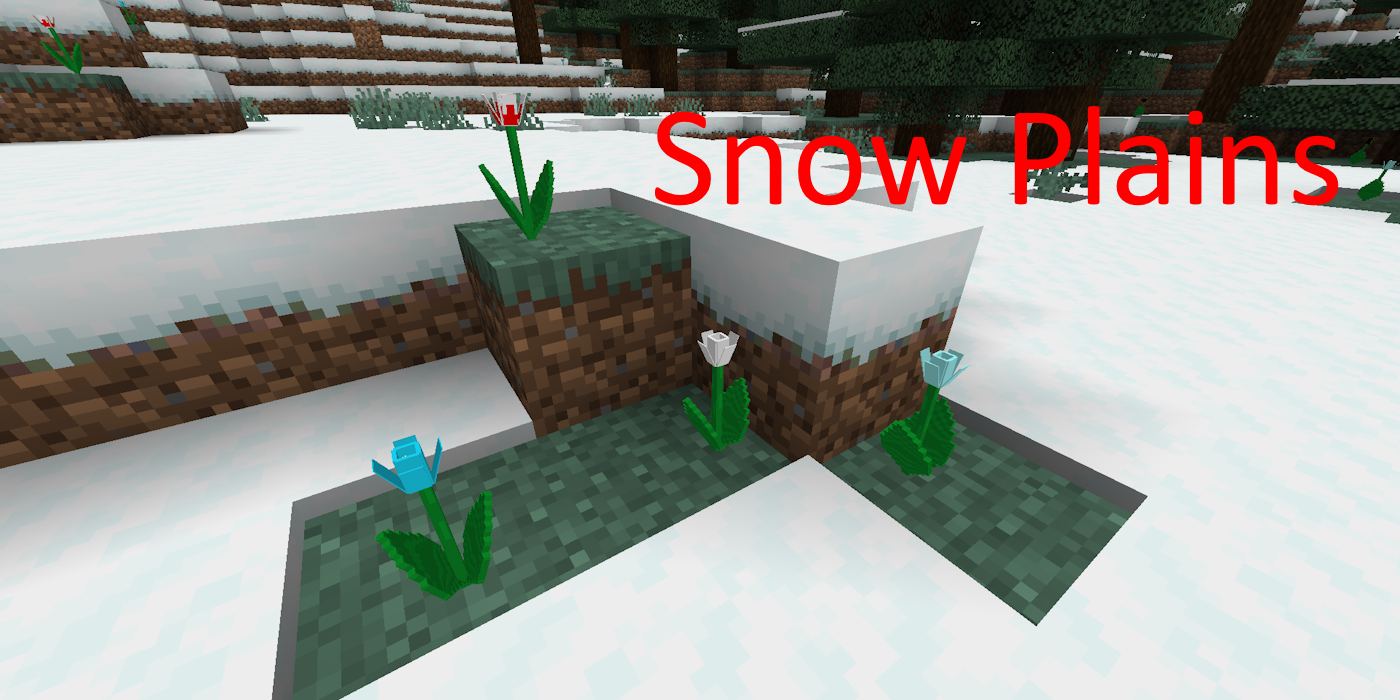 Snow Plains