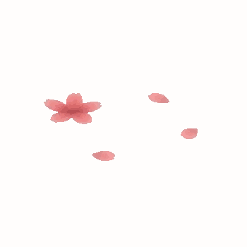 Preview_deco