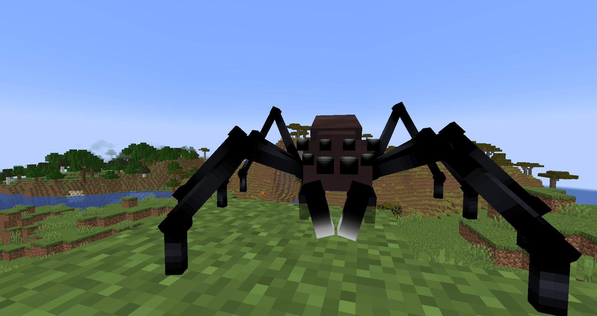 Scary Spider Closeup