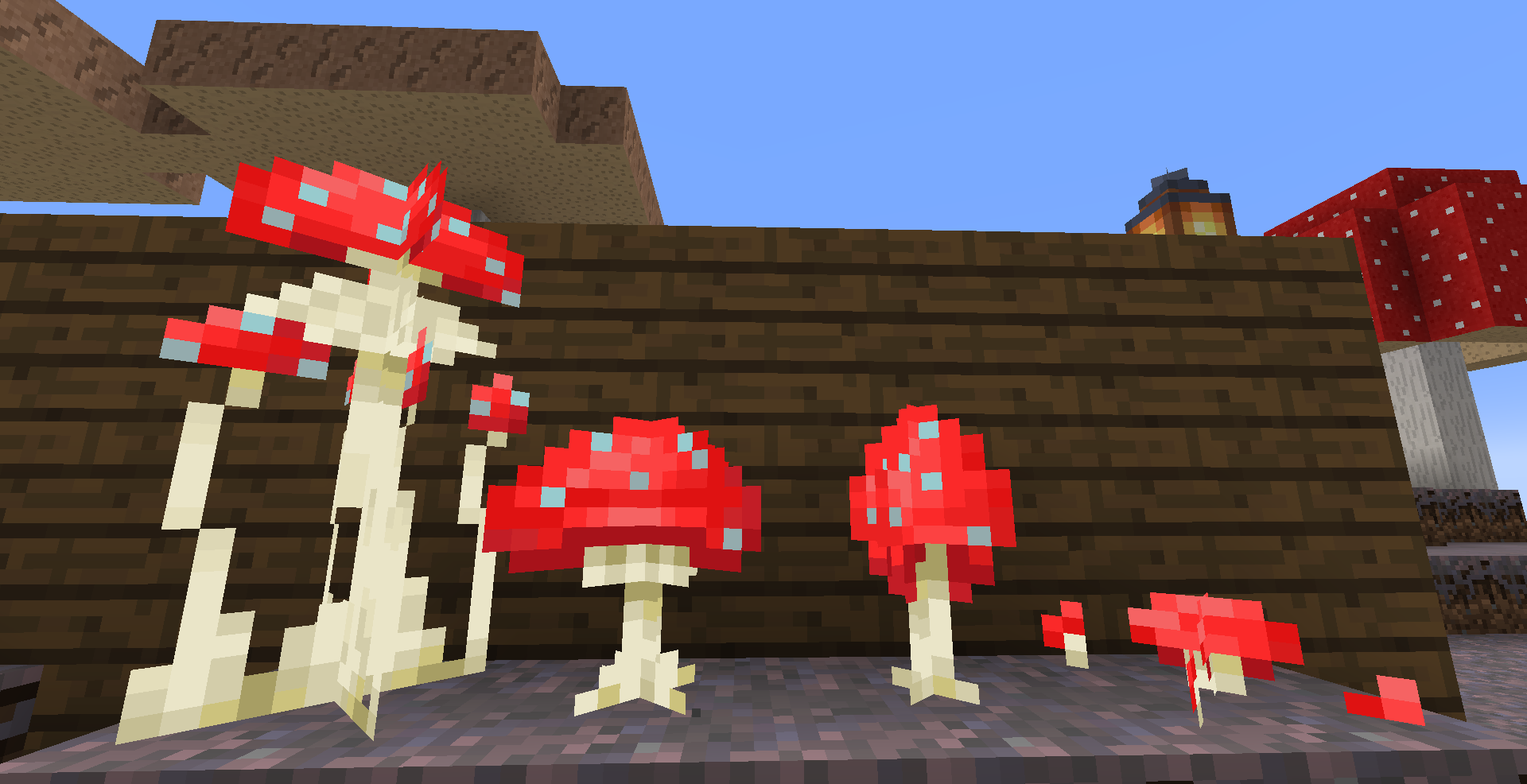 Red mushrooms