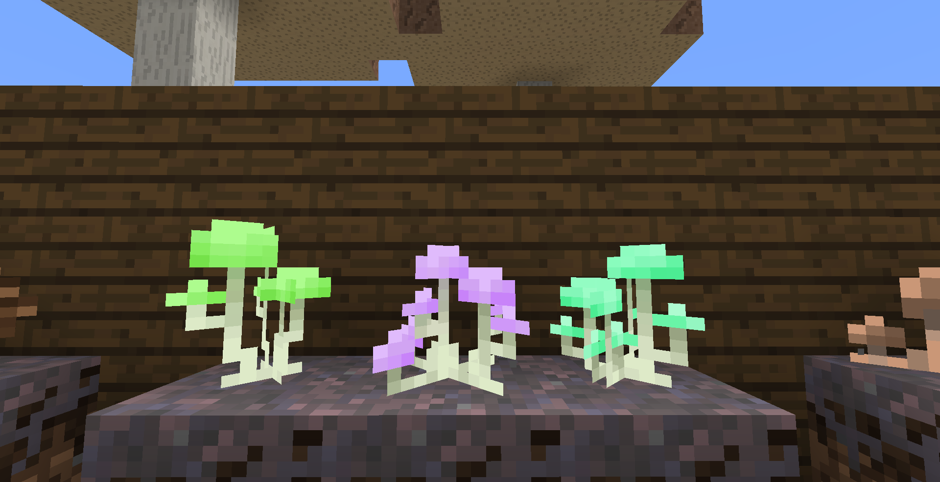 Glowing mushrooms