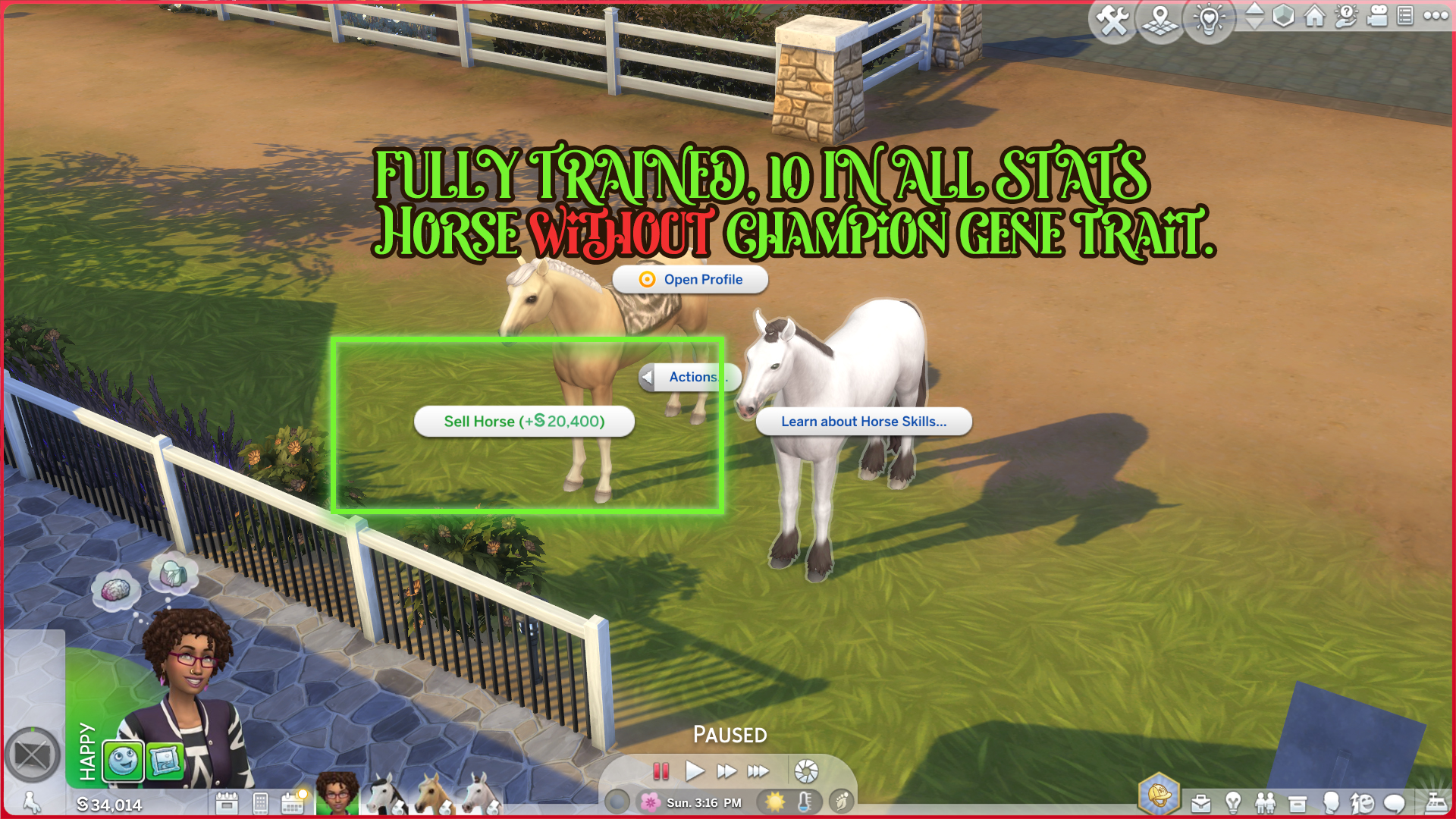 sims 4 horse breeding mod