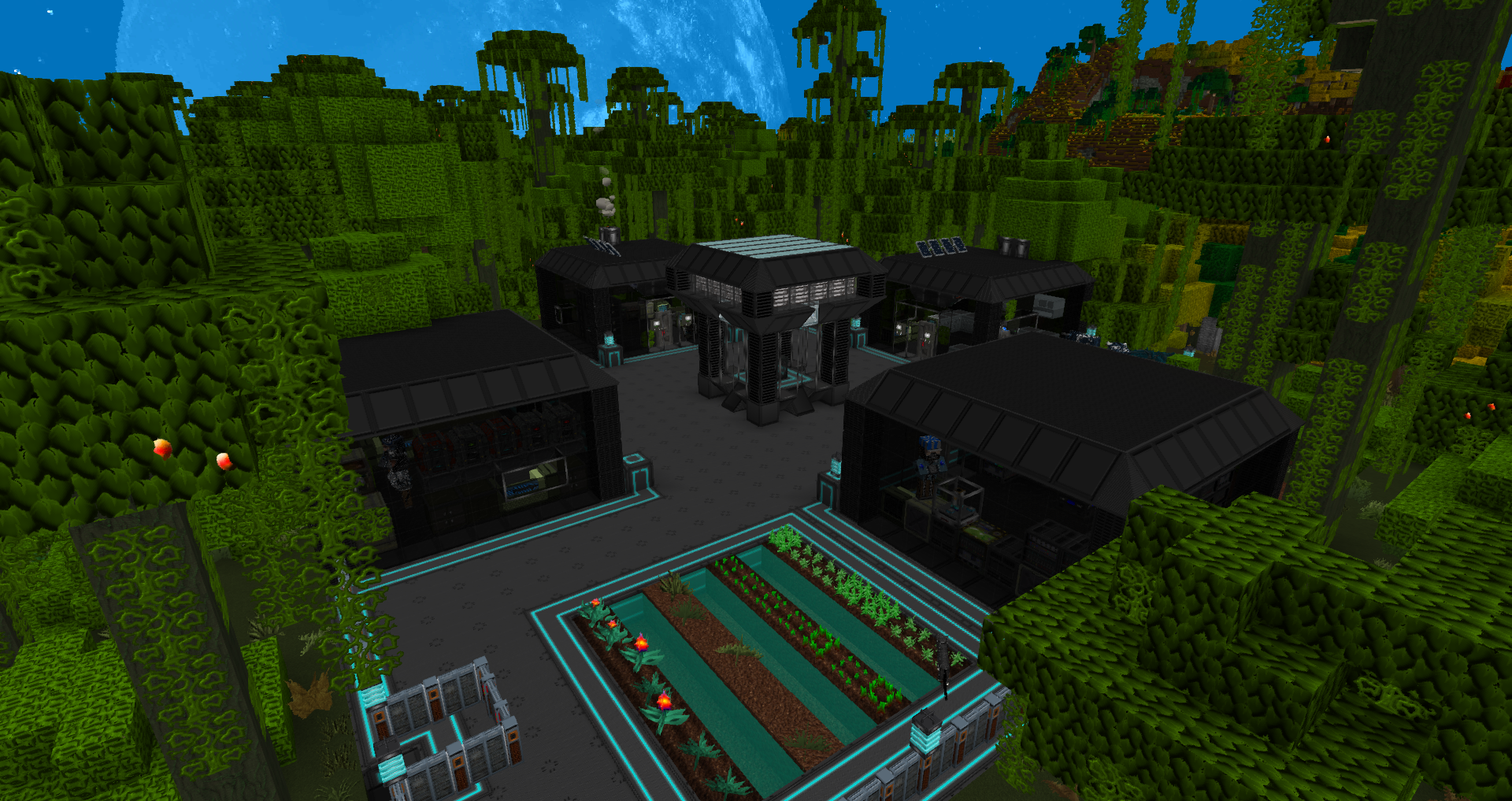 jungle
