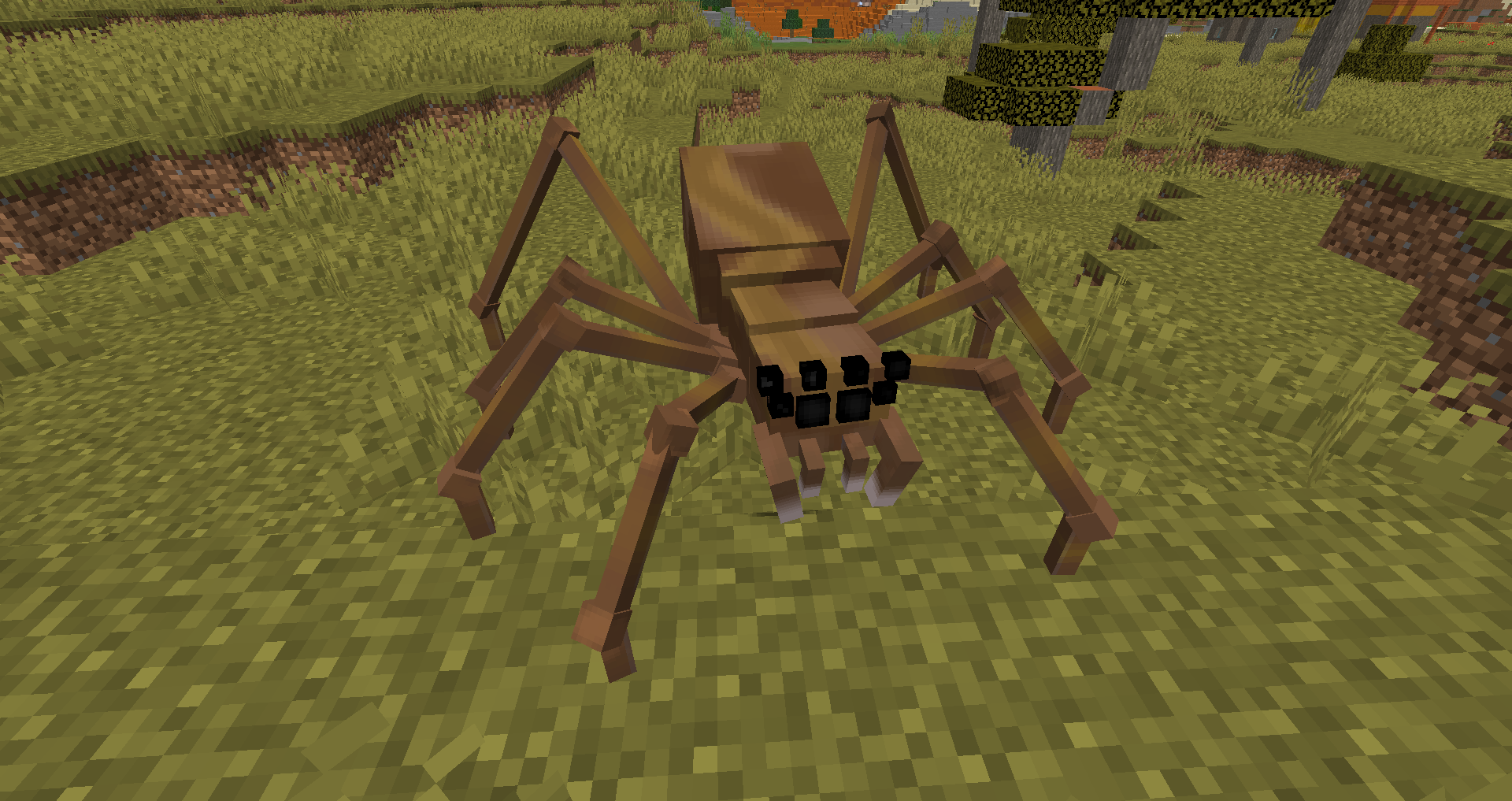 Basic Wolf Spider