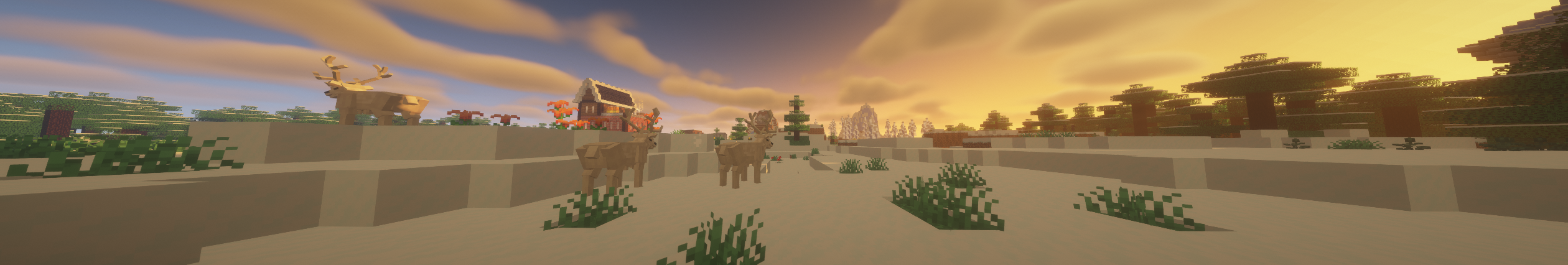 Friendly Deer!