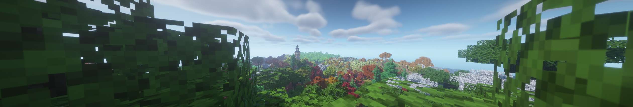 Lovely Forest View