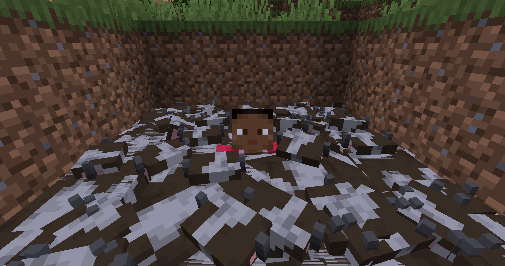 Don't be bullied by cows anymore!