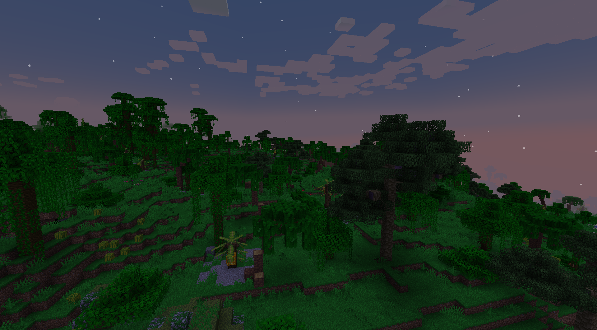 Sparse Jungle