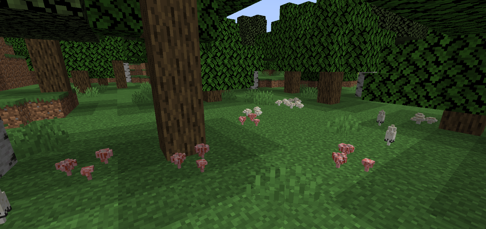 Mushrooms