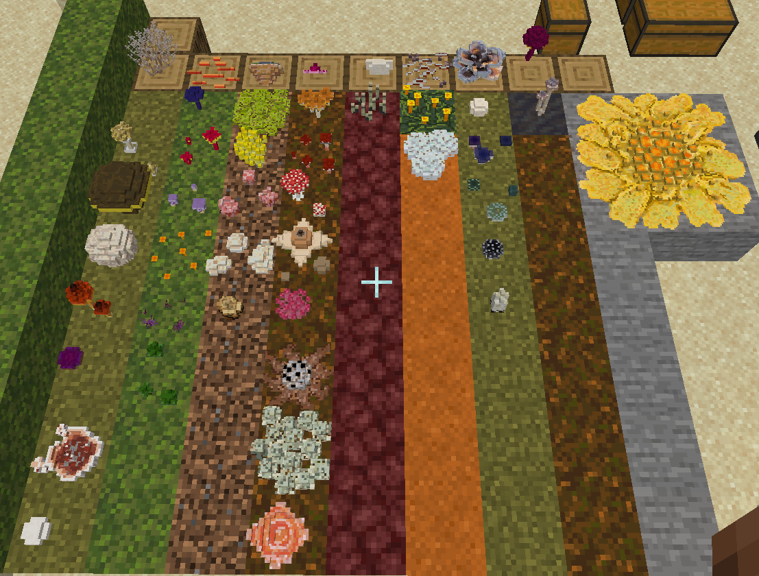 the mushrooms on substrates