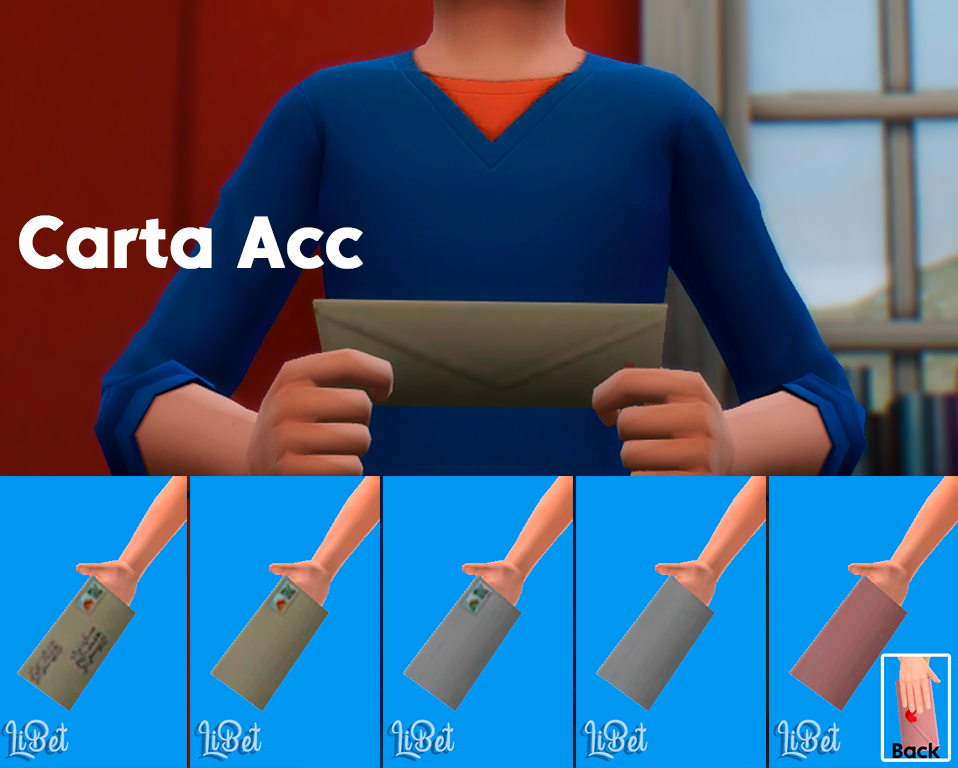 Accesorie