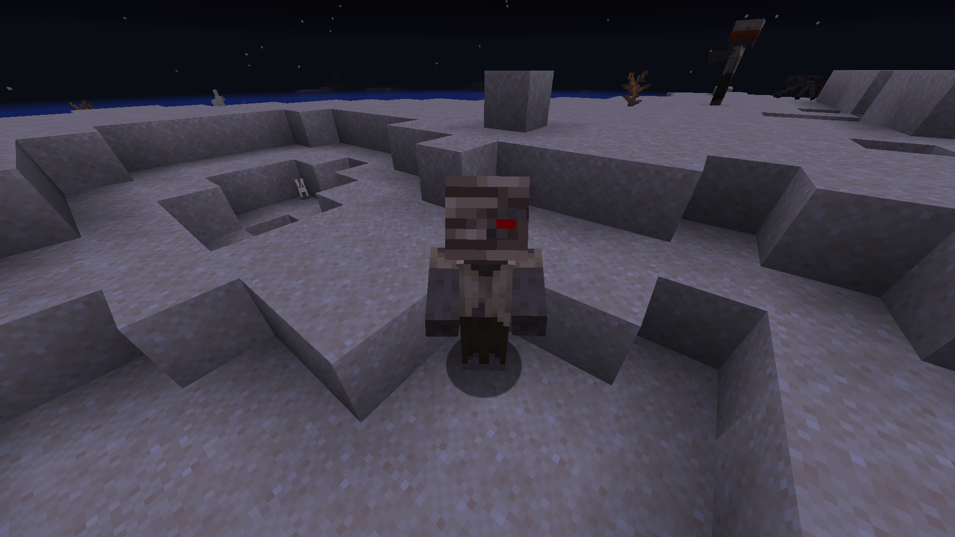 Mummy Husk