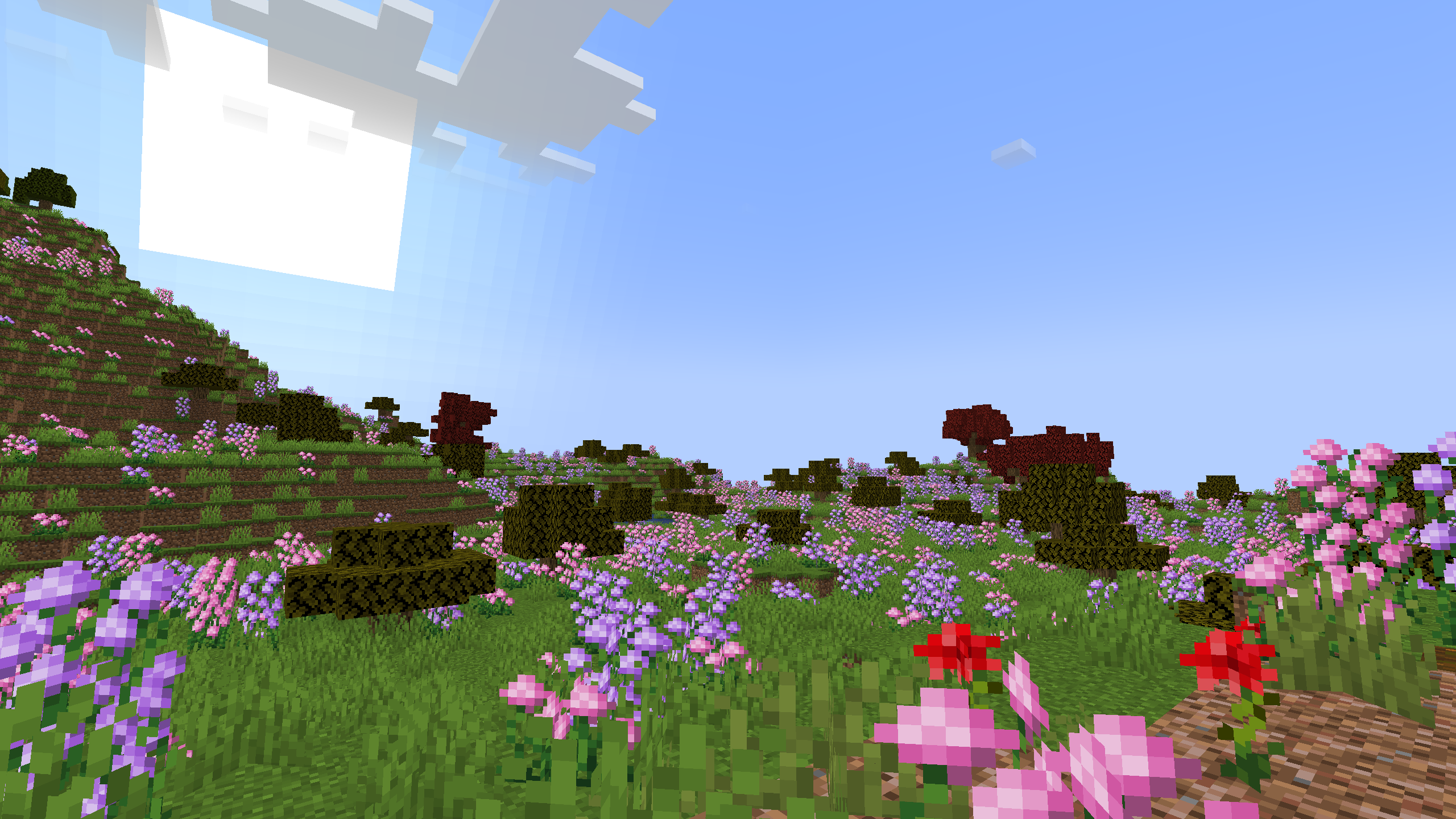 screenshot thumbnail