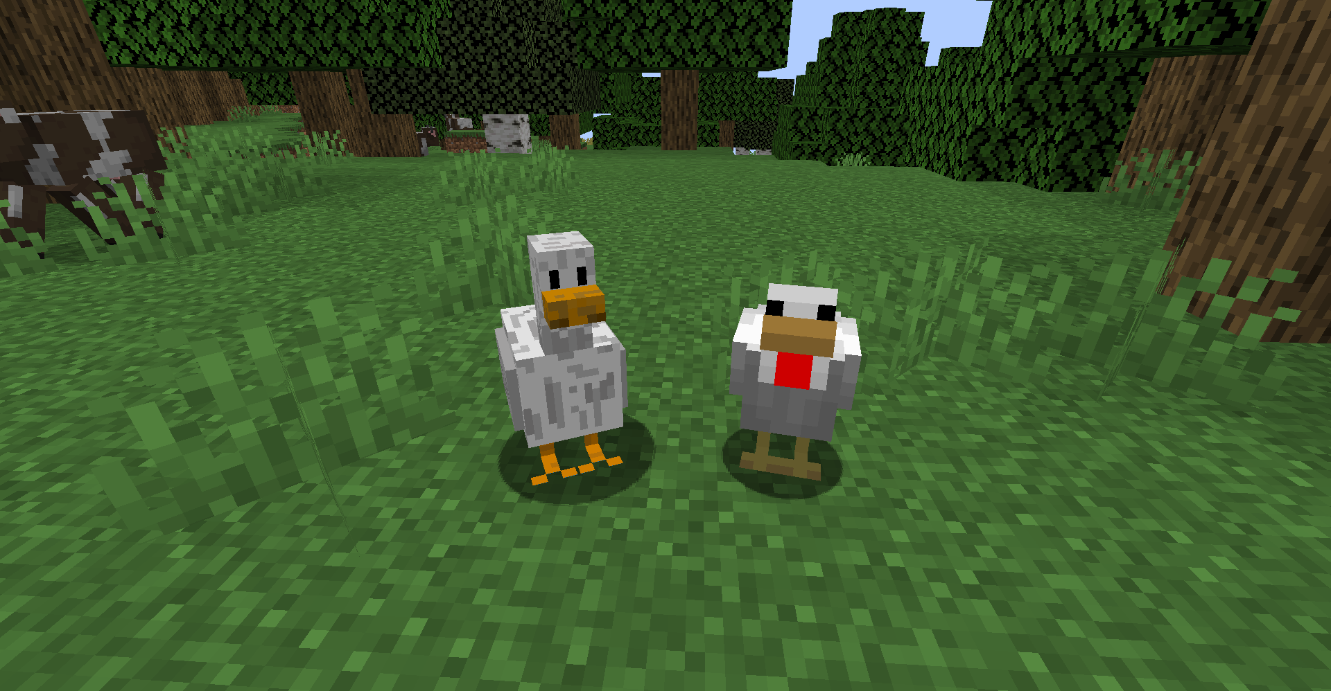 Duck with chicken