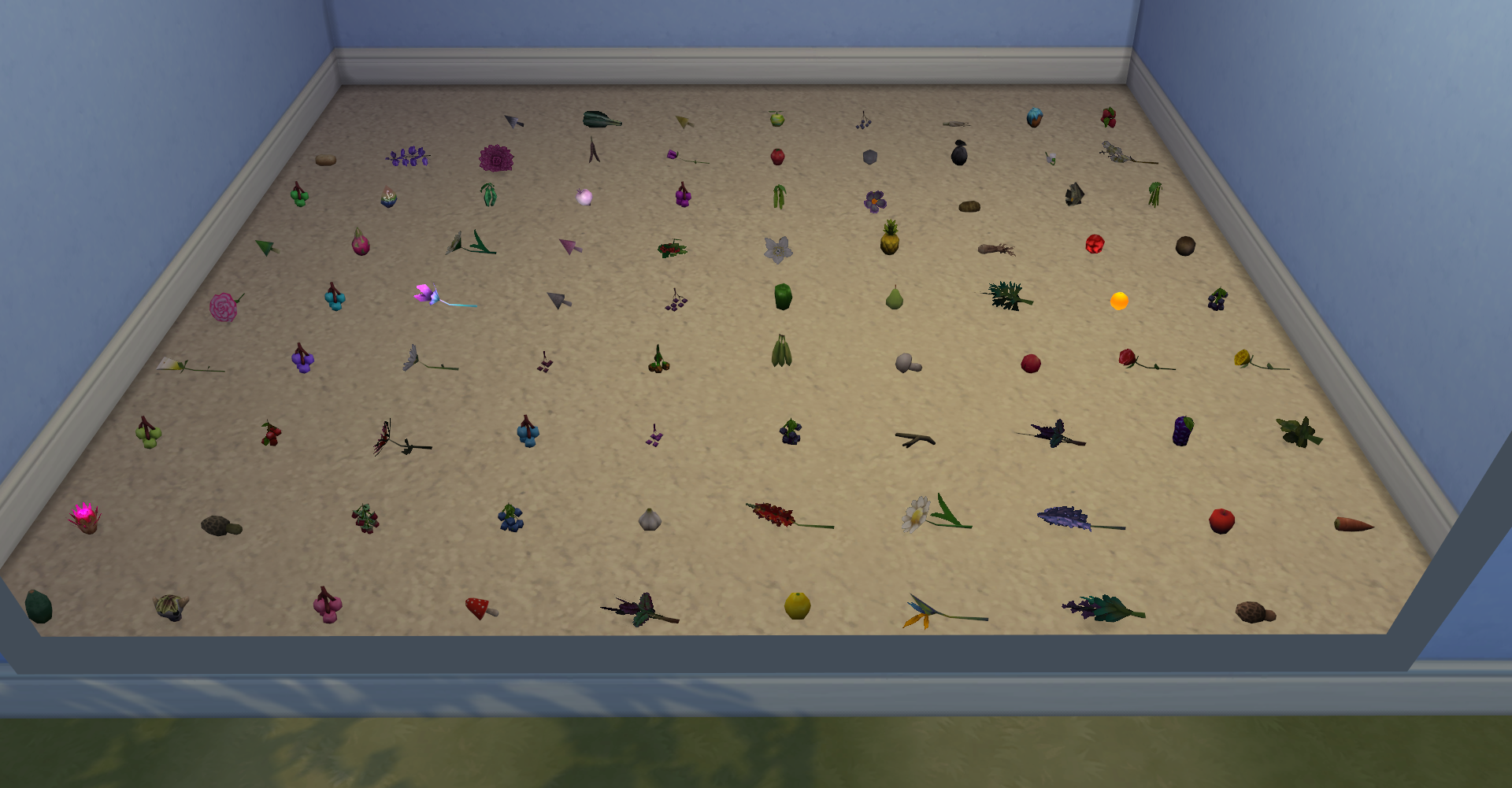seeds collection