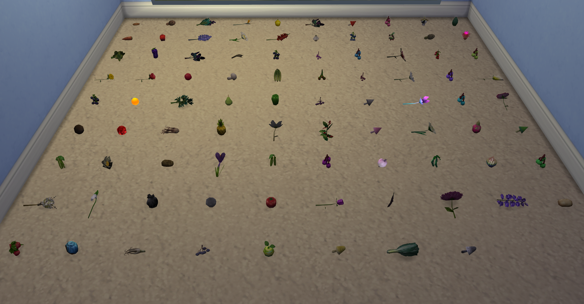 seeds collection