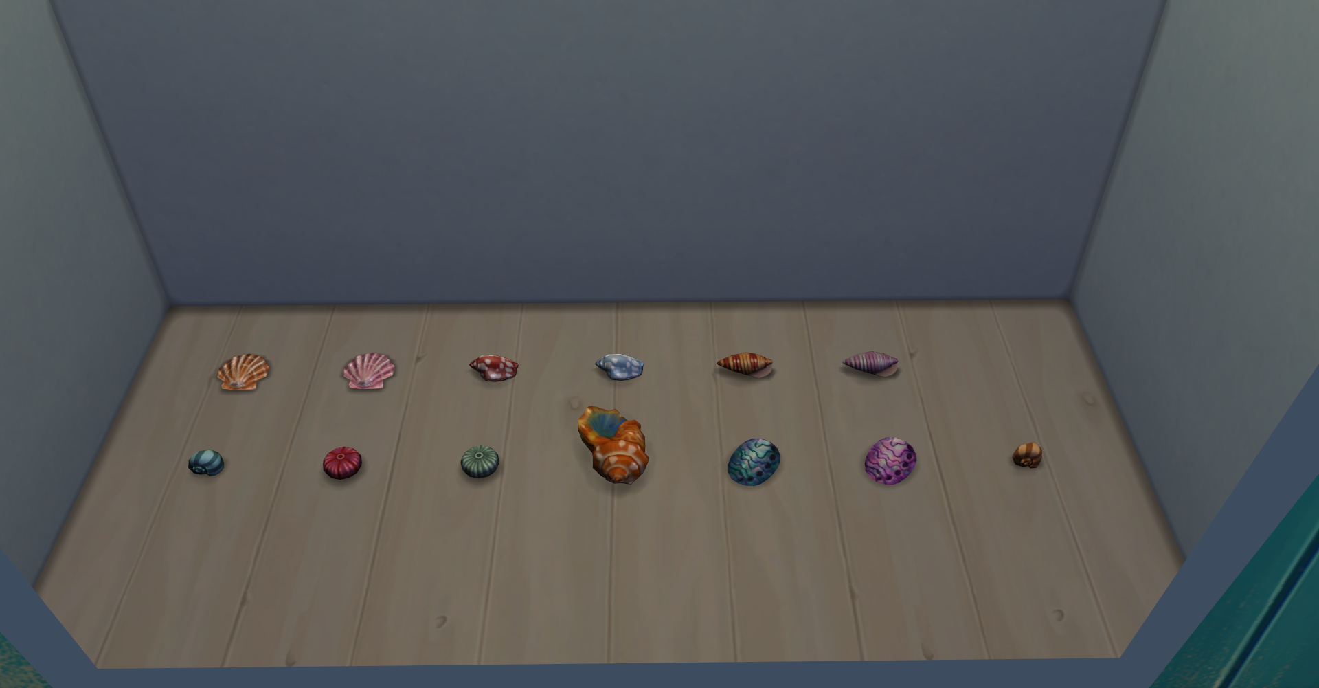 island living seashells