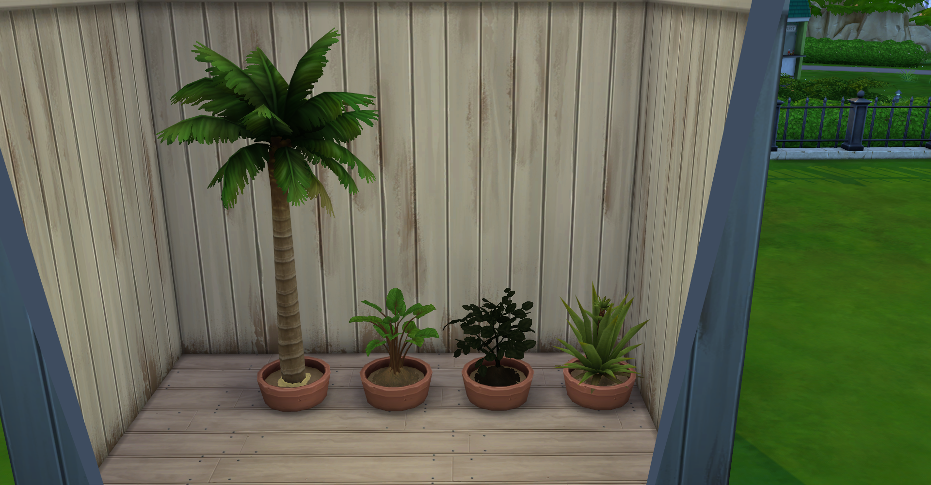 Island living plants