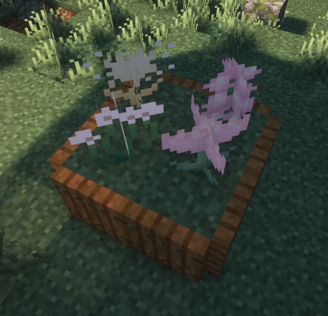 Thumbnail some new plants that you may come across as you explore! one may even give you something special, if you're lucky enough to come across it.. (taken with complementary shaders <3)
