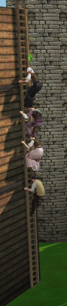 WFS Rustic Functioning Ladder