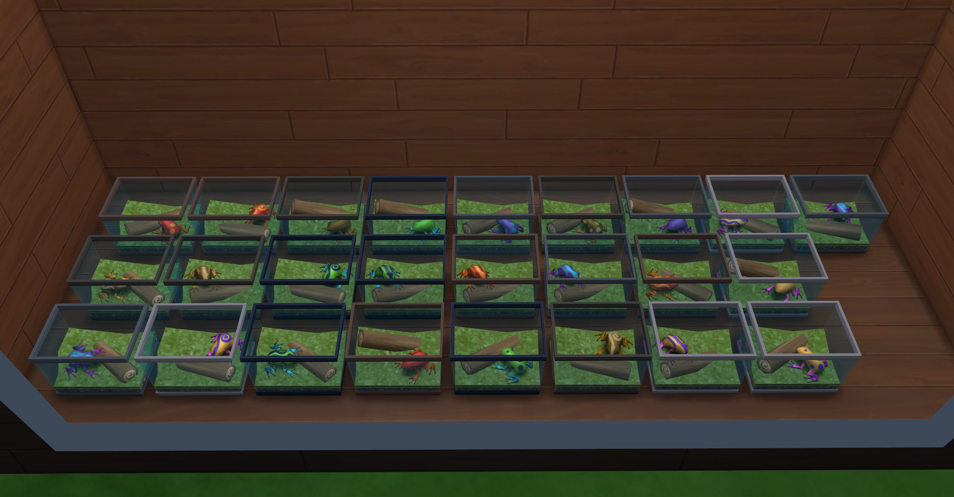 frogs