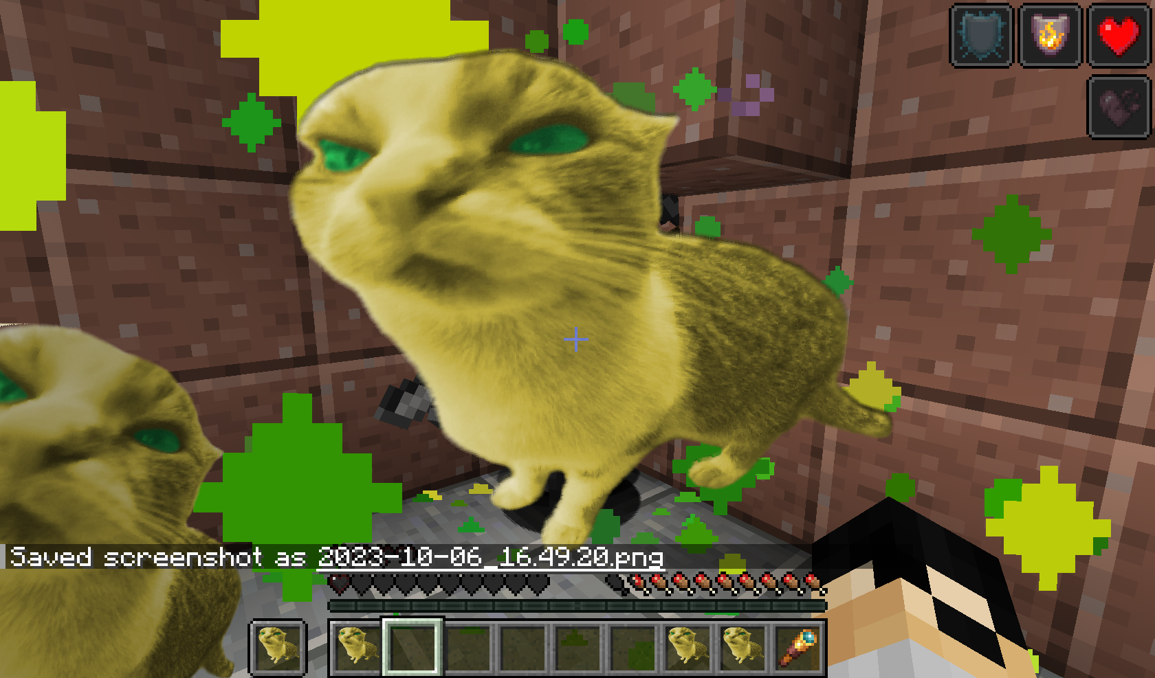 Goofy ahh cats of undying Screenshots - Resource Packs - Minecraft