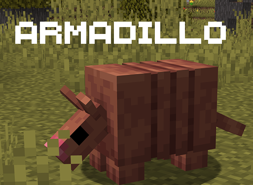 armadillo