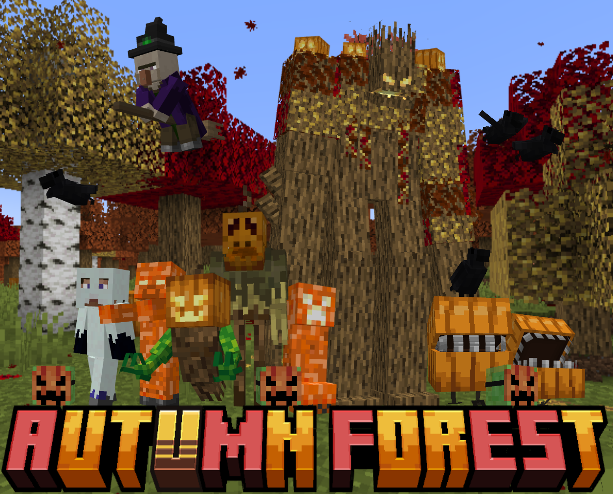 Autumn Forest