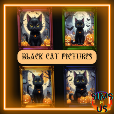 Black Cat Pictures