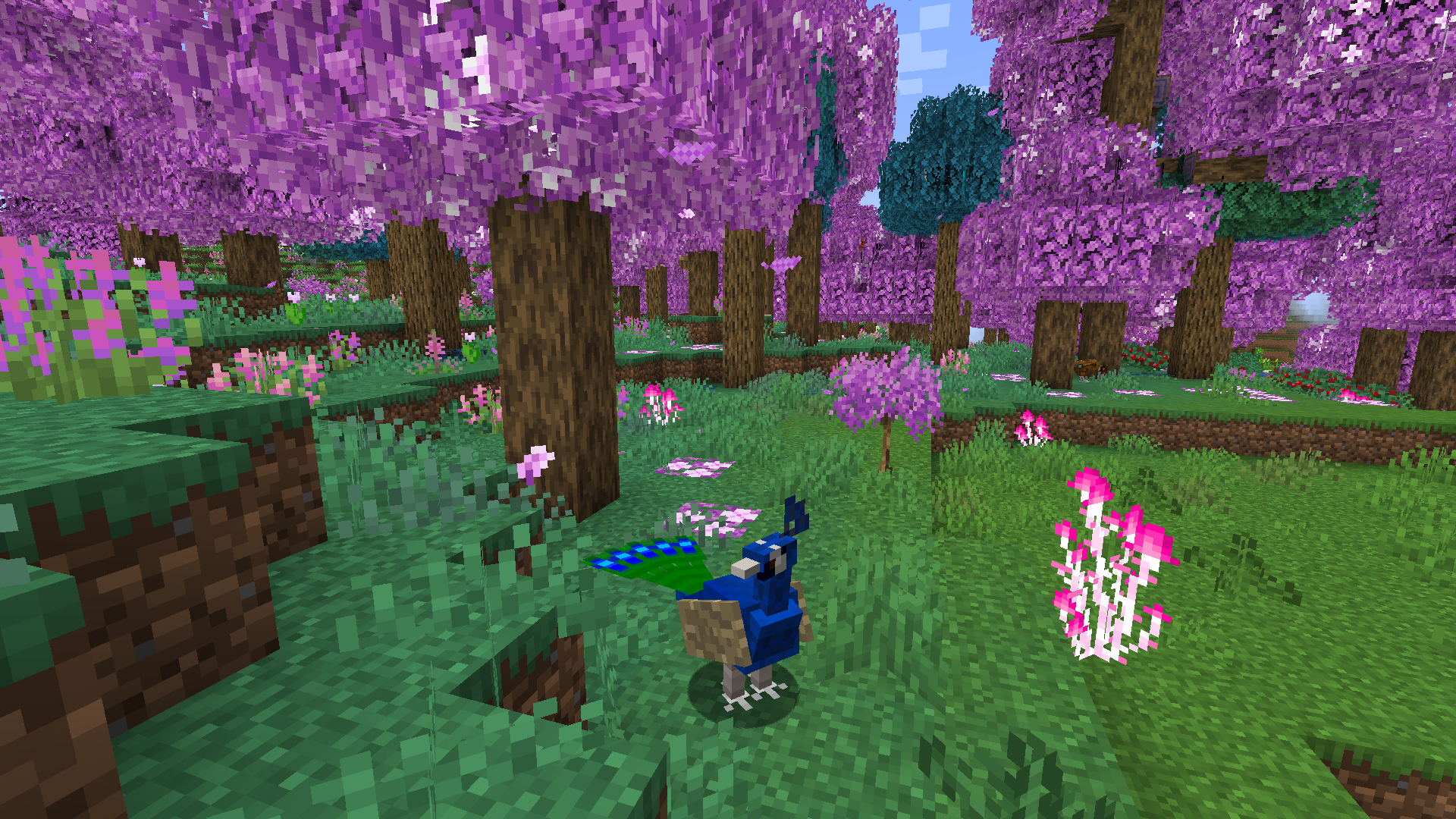 Thumbnail explore new biomes and animals!