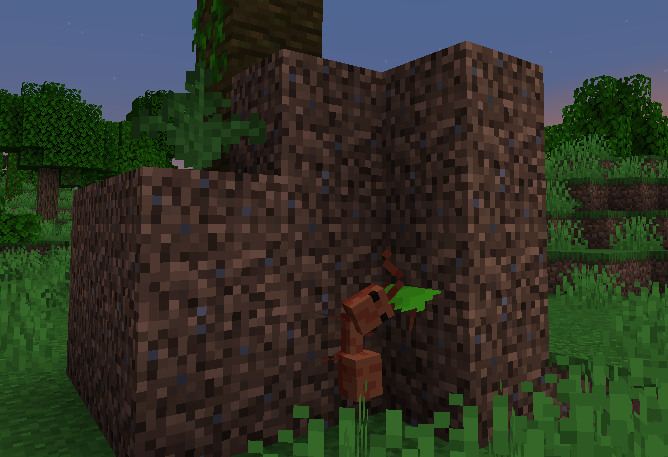Thumbnail An anthill I found while exploring.