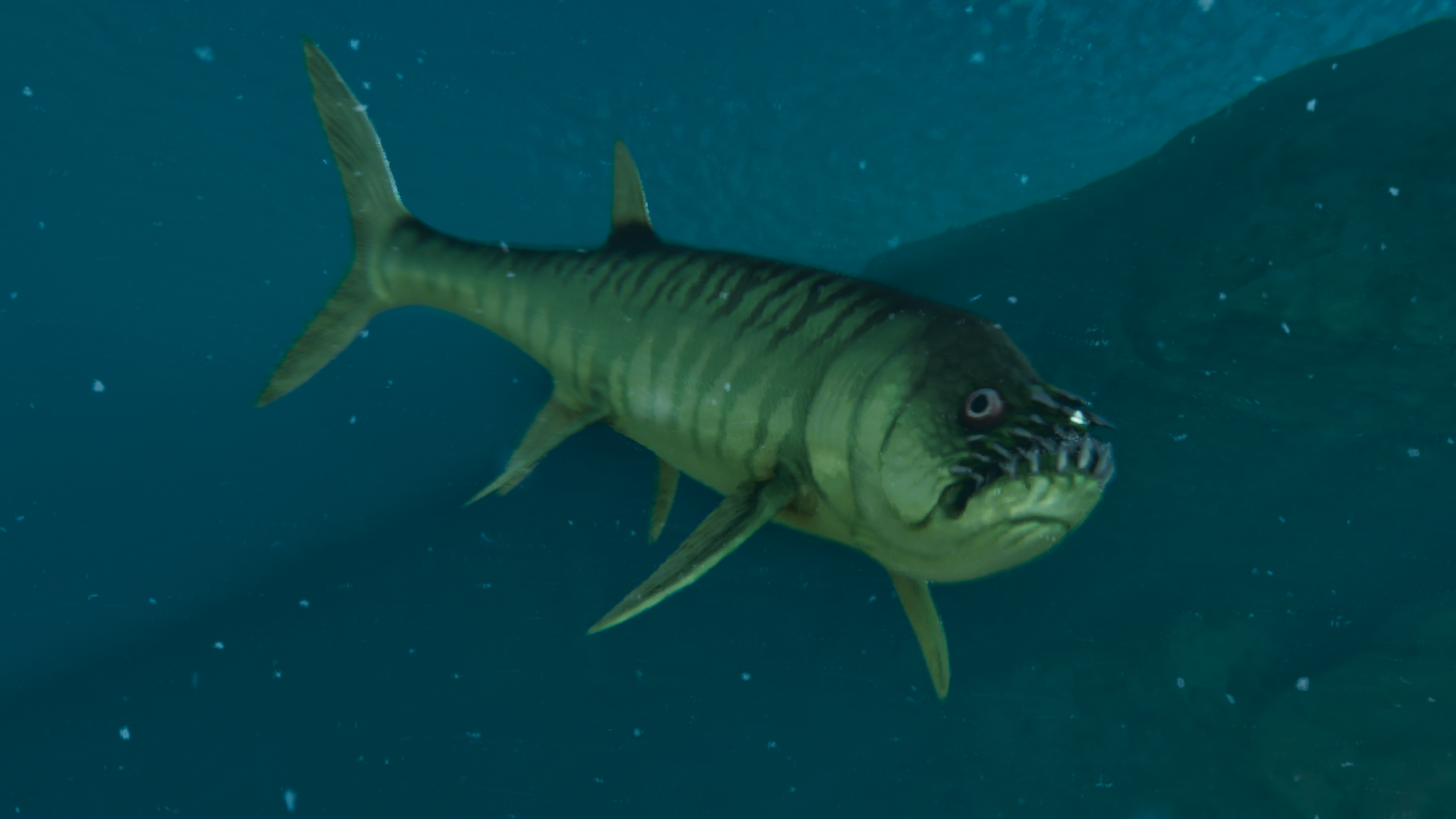 Xiphactinus Model