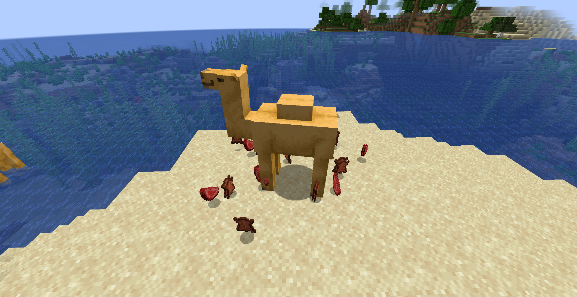 Mmmmmmh, camel