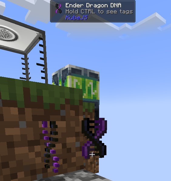 Dragon DNA