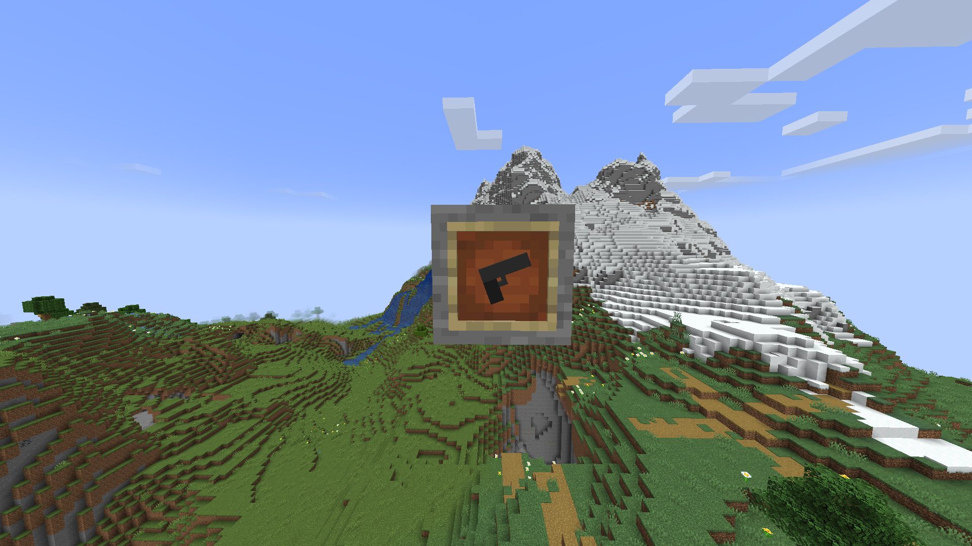 A gun?!