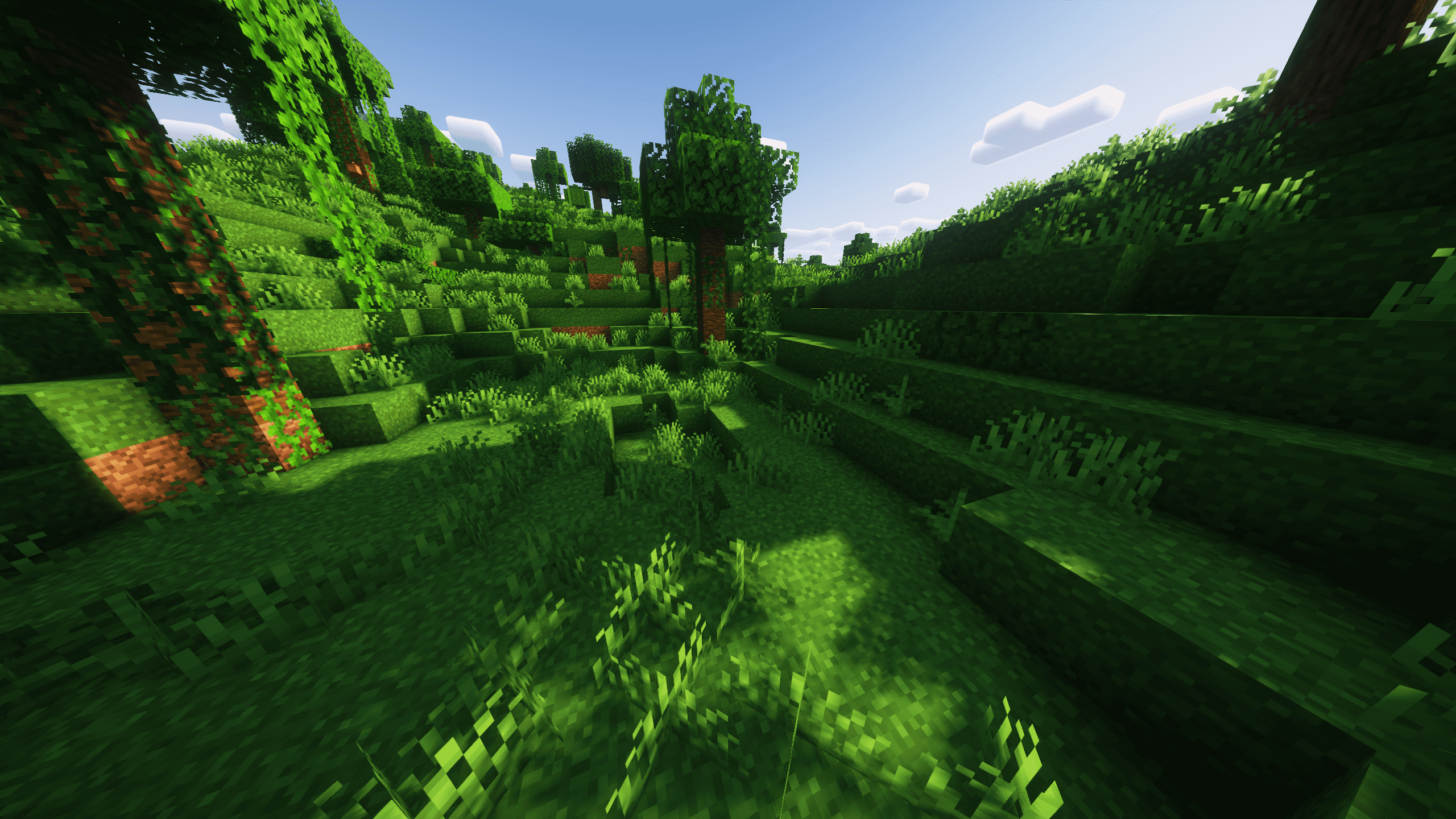 Grass 1